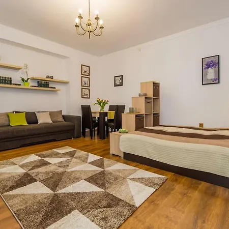 Apartment Spacious In The Center! Everything Nearby Brasov
