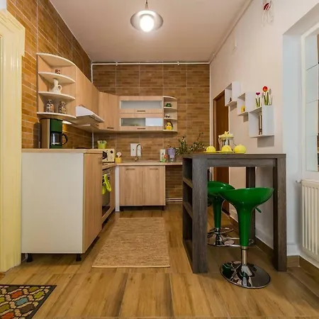 Spacious In The Center! Everything Nearby * Brasov