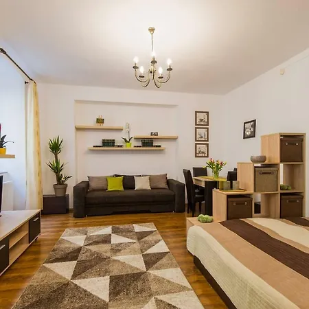 Spacious In The Center! Everything Nearby
