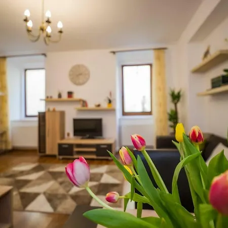 Spacious In The Center! Everything Nearby Brasov